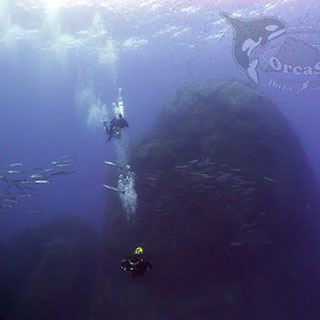 Eduardo H.G - Barracuda