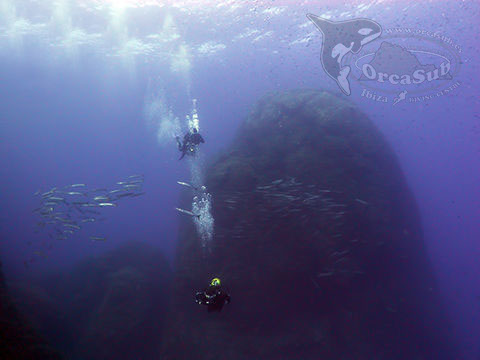 Eduardo H.G - Barracuda