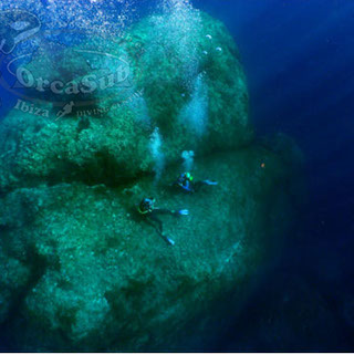 Eduardo H.G - Punta Best Torre Dive